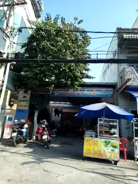 xe bán xối gà
