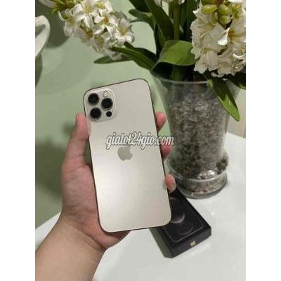 apple iphone 12 pro max - hồ chí minh iphone 12 promax 256 vàng còn bh 8th đẹp lắm