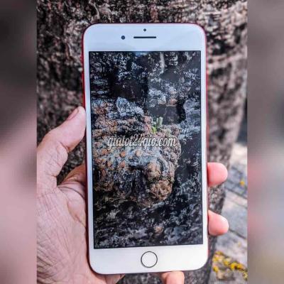 apple iphone 7 plus - hồ chí minh | iphone 7 plus like ... apple iphone 7 plus - hồ chí minh | iphone 7 plus like ...