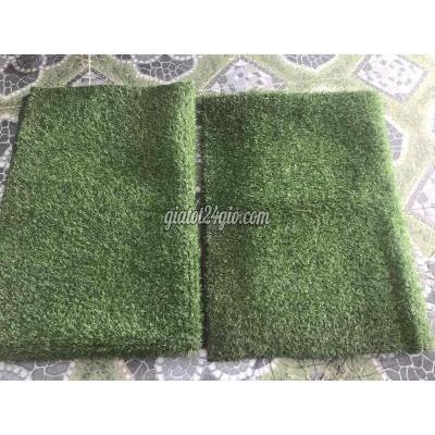 cây cảnh, đồ trang trí thành phố thủ đức - hồ chí minh thảm cỏ nhân tạo thanh lí 3mx1m