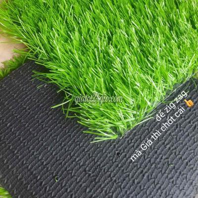 Cây Cảnh, Đồ Trang Trí Quận Bình Thạnh - Hồ Chí Minh Thảm Cỏ Vườn Nhân Tạo Độ Dài Sợi 20mm Cây Cảnh, Đồ Trang Trí Quận Bình Thạnh - Hồ Chí Minh Thảm Cỏ Vườn Nhân Tạo Độ Dài Sợi 20mm