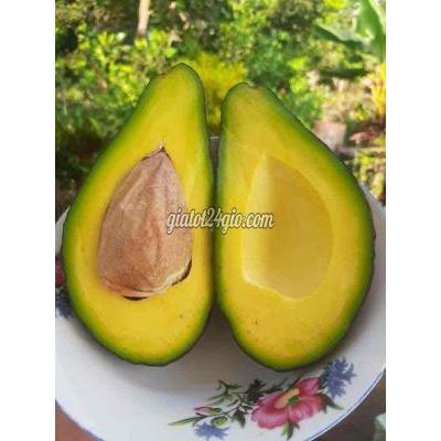 Đồ Ăn, Thực Phẩm Và Các Loại Thành Phố Thủ Dầu Một - Bình Dương Bơ Không Tên Đồ Ăn, Thực Phẩm Và Các Loại Thành Phố Thủ Dầu Một - Bình Dương Bơ Không Tên