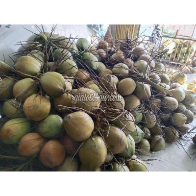 Đồ Ăn, Thực Phẩm Và Các Loại Thành Phố Thủ Dầu Một - Bình Dương Dừa Ít Đồ Ăn, Thực Phẩm Và Các Loại Thành Phố Thủ Dầu Một - Bình Dương Dừa Ít