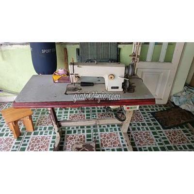 Đồ Chuyên Dụng, Giống Nuôi Trồng Quận Bình Tân - Hồ Chí Minh Máy May Như Hình Đồ Chuyên Dụng, Giống Nuôi Trồng Quận Bình Tân - Hồ Chí Minh Máy May Như Hình