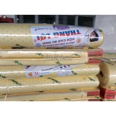 Giường, Chăn Ga Gối Nệm Thành Phố Tân An - Long An Nệm Cao Su Non Thắng Lợi Hwhwgwh Giường, Chăn Ga Gối Nệm Thành Phố Tân An - Long An Nệm Cao Su Non Thắng Lợi Hwhwgwh