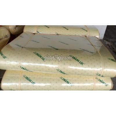 Giường, Chăn Ga Gối Nệm Quận Bình Thạnh - Hồ Chí Minh Nệm Thắng Lợi 22 44 66 Giường, Chăn Ga Gối Nệm Quận Bình Thạnh - Hồ Chí Minh Nệm Thắng Lợi 22 44 66