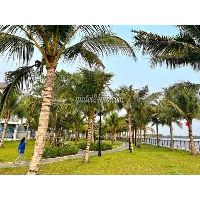 mua bán căn hộ chung cư thành phố thủ đức - hồ chí minh | giỏ hàng chuyển nhượng cắt lỗ vinhomes cập nhật mỗi ngày (ngày ... mua bán căn hộ chung cư thành phố thủ đức - hồ chí minh | giỏ hàng chuyển nhượng cắt lỗ vinhomes cập nhật mỗi ngày (ngày ...