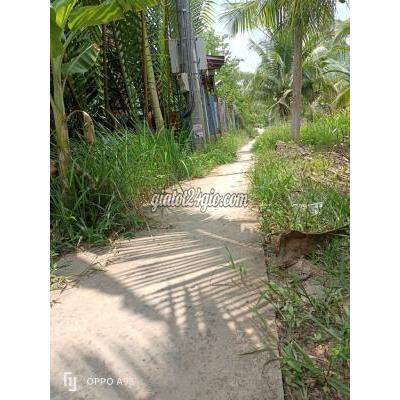 Mua Bán Đất Huyện Giồng Trôm - Bến Tre Nửa Công Đất Vườn Sổ Hiện Đường 230t Mua Bán Đất Huyện Giồng Trôm - Bến Tre Nửa Công Đất Vườn Sổ Hiện Đường 230t