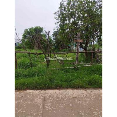 mua bán đất huyện ba tri - bến tre | đất nền mặt ...