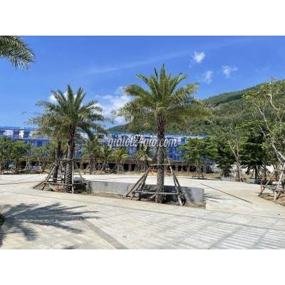 Mua Bán Đất Thành Phố Qui Nhơn - Bình Định Nhà Phố 1 Trệt 3 Lầu Gần Bến Xe Trung Tâm, Khu Dân Cư An Ninh Sầm Uất Mua Bán Đất Thành Phố Qui Nhơn - Bình Định Nhà Phố 1 Trệt 3 Lầu Gần Bến Xe Trung Tâm, Khu Dân Cư An Ninh Sầm Uất