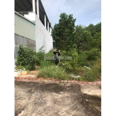 Mua Bán Đất Huyện Phú Giáo - Bình Dương Ngộp Ra Gấp Lô Đất Mt Đt741 Kcn Vsip 2 547m2 440tr Mua Bán Đất Huyện Phú Giáo - Bình Dương Ngộp Ra Gấp Lô Đất Mt Đt741 Kcn Vsip 2 547m2 440tr
