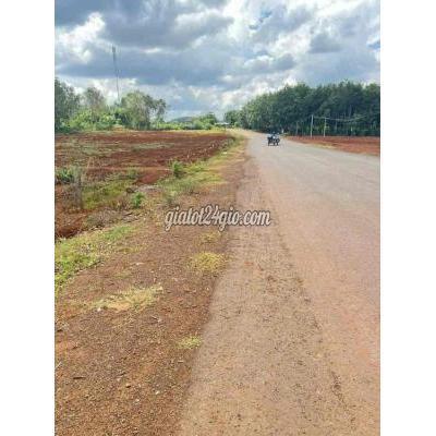 mua bán đất thị xã tân uyên - bình dương | 250m2 đất mặt tiền đường nhựa giá 295 triệu đã có sổ ...