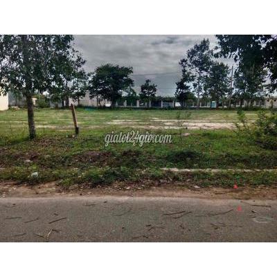 Mua Bán Đất Huyện Dầu Tiếng - Bình Dương Sang Lỗ Lô Góc 395m2 2mt Đường Nhựa Lớn Sát Chợ, Trường Học Và Ubnd Mua Bán Đất Huyện Dầu Tiếng - Bình Dương Sang Lỗ Lô Góc 395m2 2mt Đường Nhựa Lớn Sát Chợ, Trường Học Và Ubnd