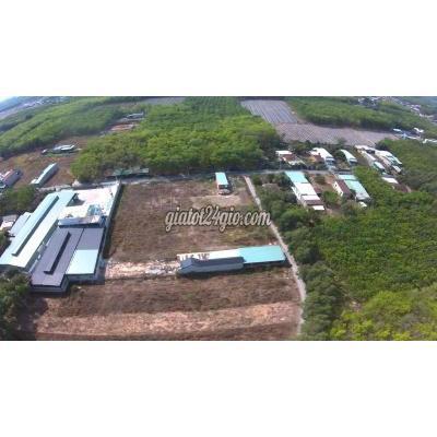 Mua Bán Đất Thị Xã Bến Cát - Bình Dương 11x97 Nở Hậu 24 Có 100m Tc Tiện Xây Trọ Hoặc Kho Đã Xây Tường Rào Mua Bán Đất Thị Xã Bến Cát - Bình Dương 11x97 Nở Hậu 24 Có 100m Tc Tiện Xây Trọ Hoặc Kho Đã Xây Tường Rào