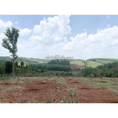 Mua Bán Đất Huyện Đồng Phú - Bình Phước Đất View Đồi Cực Đẹp Giá Rẻ 1 Sào /1009m2 Mua Bán Đất Huyện Đồng Phú - Bình Phước Đất View Đồi Cực Đẹp Giá Rẻ 1 Sào /1009m2