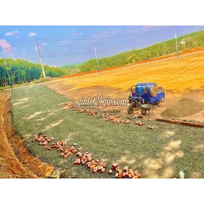 Mua Bán Đất Huyện Bù Đăng - Bình Phước Đất Đầu Tư View Sống Sổ Hồng Riêng - Hình Ảnh Thực Tế Mua Bán Đất Huyện Bù Đăng - Bình Phước Đất Đầu Tư View Sống Sổ Hồng Riêng - Hình Ảnh Thực Tế