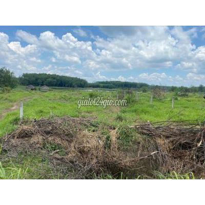 Mua Bán Đất Huyện Chơn Thành - Bình Phước Bán Đất Mặt Tiền Hồ Thơ Mộng Mua Bán Đất Huyện Chơn Thành - Bình Phước Bán Đất Mặt Tiền Hồ Thơ Mộng