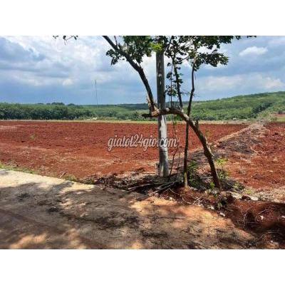 Mua Bán Đất Huyện Hớn Quản - Bình Phước Đất Trung Tâm Xã 260m Có 100m Thổ Cư Đường Bê Tông, Gan Kcn Mua Bán Đất Huyện Hớn Quản - Bình Phước Đất Trung Tâm Xã 260m Có 100m Thổ Cư Đường Bê Tông, Gan Kcn