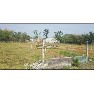 Mua Bán Đất Thị Xã Bình Long - Bình Phước Kẹt Tiền Ra Lỗ Nền Thị Xã Bình Long, Giá Nào Cũng Bán Mua Bán Đất Thị Xã Bình Long - Bình Phước Kẹt Tiền Ra Lỗ Nền Thị Xã Bình Long, Giá Nào Cũng Bán