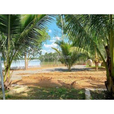 Mua Bán Đất Huyện Hớn Quản - Bình Phước Đất Bình Phước Hồ Sinh Thái Chỉ 90tr Sở Hữu 1000m2 , Sổ Sẵn Ký Ngay Mua Bán Đất Huyện Hớn Quản - Bình Phước Đất Bình Phước Hồ Sinh Thái Chỉ 90tr Sở Hữu 1000m2 , Sổ Sẵn Ký Ngay
