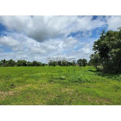 Mua Bán Đất Huyện Bắc Bình - Bình Thuận Bán Gấp 1 Lô Cạnh Khu Du Lịch Sinh Thái Safari Chỉ 78k/m2 Mua Bán Đất Huyện Bắc Bình - Bình Thuận Bán Gấp 1 Lô Cạnh Khu Du Lịch Sinh Thái Safari Chỉ 78k/m2