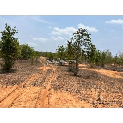 Mua Bán Đất Huyện Bắc Bình - Bình Thuận Chính Chủ Cần Bán Lô Đất 8074m2 Giá 682tr Mặt Tiền Liên Huyện Mua Bán Đất Huyện Bắc Bình - Bình Thuận Chính Chủ Cần Bán Lô Đất 8074m2 Giá 682tr Mặt Tiền Liên Huyện