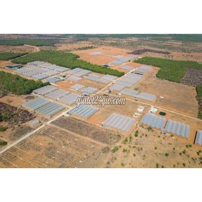 Mua Bán Đất Huyện Bắc Bình - Bình Thuận Cần Tiền Bán Lô Đất 2mt Liên Huyện, Chỉ 640tr Mua Bán Đất Huyện Bắc Bình - Bình Thuận Cần Tiền Bán Lô Đất 2mt Liên Huyện, Chỉ 640tr