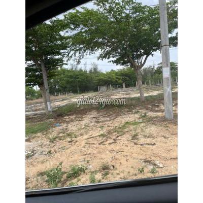 Mua Bán Đất Thị Xã La Gi - Bình Thuận Đất Mặt Tiền Nguyễn Tri Phương, 6x25,5m Full Thổ Mua Bán Đất Thị Xã La Gi - Bình Thuận Đất Mặt Tiền Nguyễn Tri Phương, 6x25,5m Full Thổ
