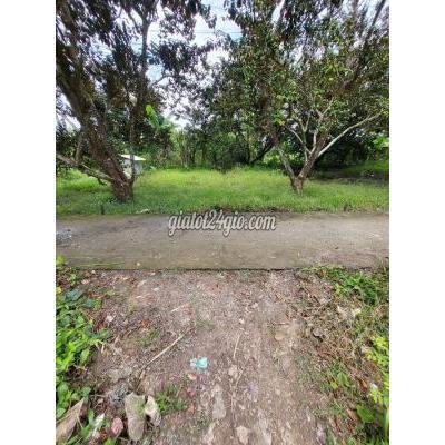 mua bán đất huyện phong điền - cần thơ 5,75x15=86m2 đất thôt cư giá 400 triệu tân thới phong điền gần tl 923