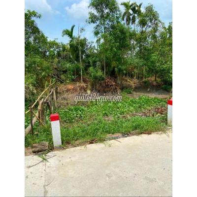 Mua Bán Đất Quận Bình Thuỷ - Cần Thơ Đất Cln Gần Bệnh Viện Nhi Đồng, Tim Mạch Sis Mua Bán Đất Quận Bình Thuỷ - Cần Thơ Đất Cln Gần Bệnh Viện Nhi Đồng, Tim Mạch Sis