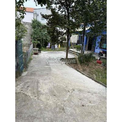 Mua Bán Đất Quận Cẩm Lệ - Đà Nẵng Đất Kiệt Oto Tận Nơi Dt Lớn Mua Bán Đất Quận Cẩm Lệ - Đà Nẵng Đất Kiệt Oto Tận Nơi Dt Lớn