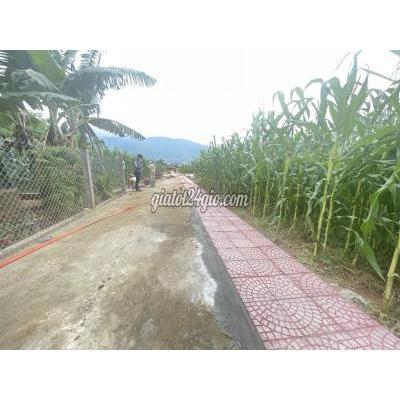 Mua Bán Đất Huyện Hòa Vang - Đà Nẵng Ngang 6m, 150m2 Đất Ở, Ngay Khu Công Nghiệp Mua Bán Đất Huyện Hòa Vang - Đà Nẵng Ngang 6m, 150m2 Đất Ở, Ngay Khu Công Nghiệp