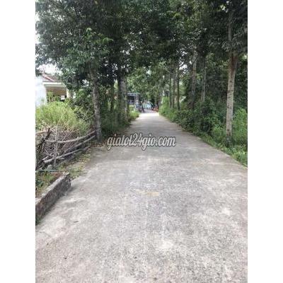 Mua Bán Đất Huyện Hòa Vang - Đà Nẵng 128,5m2 Đất Ở Toàn Bộ Ngang 6m Sổ Vuông Vắn Xã Hòa Khương Mua Bán Đất Huyện Hòa Vang - Đà Nẵng 128,5m2 Đất Ở Toàn Bộ Ngang 6m Sổ Vuông Vắn Xã Hòa Khương