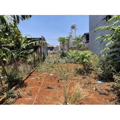 Mua Bán Đất Thành Phố Buôn Ma Thuột - Đắk Lắk Đất Tc 5,8*40m,hẻm Đỗ Nhuận,gần Hoàng Việt Mua Bán Đất Thành Phố Buôn Ma Thuột - Đắk Lắk Đất Tc 5,8*40m,hẻm Đỗ Nhuận,gần Hoàng Việt