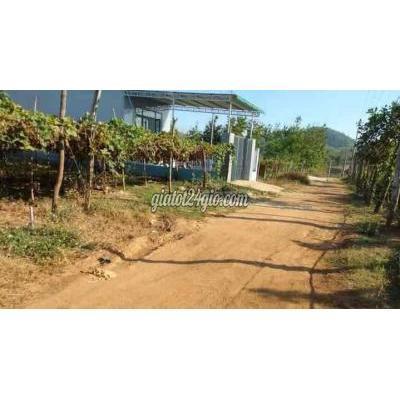 Mua Bán Đất Thành Phố Buôn Ma Thuột - Đắk Lắk Hẻm Cấp 1 Đường 01 Thôn 8 Cưebua Giá Chỉ Bằng Lô 5m Mua Bán Đất Thành Phố Buôn Ma Thuột - Đắk Lắk Hẻm Cấp 1 Đường 01 Thôn 8 Cưebua Giá Chỉ Bằng Lô 5m