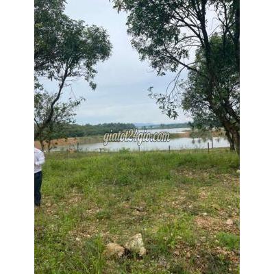 Mua Bán Đất Huyện Định Quán - Đồng Nai Đất Sổ Hồng Sát Hồ Trị An 1006m2 Đang Vay Nóng Mua Bán Đất Huyện Định Quán - Đồng Nai Đất Sổ Hồng Sát Hồ Trị An 1006m2 Đang Vay Nóng
