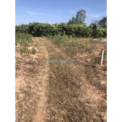 Mua Bán Đất Huyện Xuân Lộc - Đồng Nai Ông Anh Nợ Ngân Hàng Gửi Bán Gấp Hơn 4,5 Sào Đất Với Giá 234 Triệu/sào Mua Bán Đất Huyện Xuân Lộc - Đồng Nai Ông Anh Nợ Ngân Hàng Gửi Bán Gấp Hơn 4,5 Sào Đất Với Giá 234 Triệu/sào