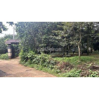 mua bán đất thành phố long khánh - đồng nai | đất ngộp 8x20m p. xuân tân, tp. long ...