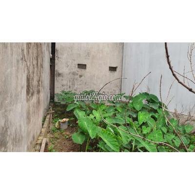 Mua Bán Đất Quận Long Biên - Hà Nội Đất Thượng Thanh 36m2 Gần Ubnd Phường Mua Bán Đất Quận Long Biên - Hà Nội Đất Thượng Thanh 36m2 Gần Ubnd Phường