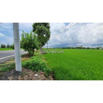 Mua Bán Đất Huyện Vị Thuỷ - Hậu Giang Mt Quốc Lộ 61c Hậu Giang, 6,412m, Giá 1.2tr/m, Dt 75x86m, Kênh 12,000 Mua Bán Đất Huyện Vị Thuỷ - Hậu Giang Mt Quốc Lộ 61c Hậu Giang, 6,412m, Giá 1.2tr/m, Dt 75x86m, Kênh 12,000