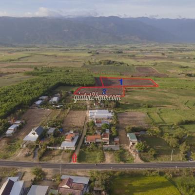 Mua Bán Đất Thị Xã Ninh Hòa - Khánh Hòa Bán Lô Đất Hơn 1,6 Ha Tại Ninh Hòa, Hợp Thổ 100%. Mua Bán Đất Thị Xã Ninh Hòa - Khánh Hòa Bán Lô Đất Hơn 1,6 Ha Tại Ninh Hòa, Hợp Thổ 100%.