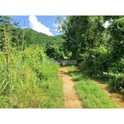 mua bán đất thị xã ninh hòa - khánh hòa [ 11,3ha ninh thượng - 200tr/ha ], cần chủ new