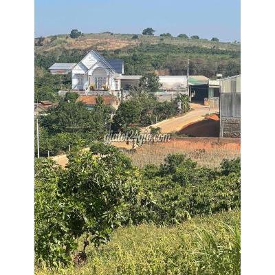 Mua Bán Đất Huyện Lâm Hà - Lâm Đồng Đất Thổ Cư Thị Trấn Nam Ban Cách Nhựa 100m Mua Bán Đất Huyện Lâm Hà - Lâm Đồng Đất Thổ Cư Thị Trấn Nam Ban Cách Nhựa 100m