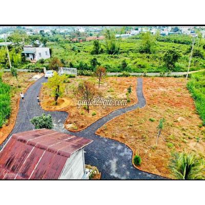 Mua Bán Đất Thành Phố Bảo Lộc - Lâm Đồng 5 Xào Sổ Thuộc Tp Bảo Lôc Giá 5tr/2 Mua Bán Đất Thành Phố Bảo Lộc - Lâm Đồng 5 Xào Sổ Thuộc Tp Bảo Lôc Giá 5tr/2