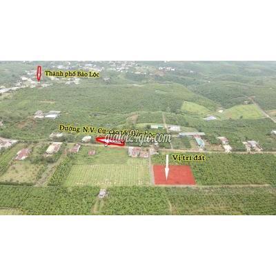 mua bán đất thành phố bảo lộc - lâm đồng 253 m2 - 2 mặt tiền n.v cừ phường lộc phát hơn 1 tỷ có thương lượng