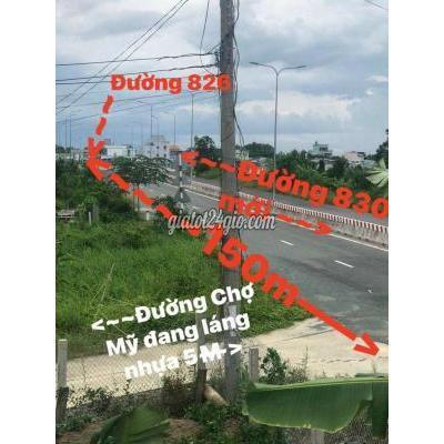 Mua Bán Đất Huyện Cần Đước - Long An Đất Thổ Cư Cần Bán Mặt Tiền 830 Và Nguyễn Văn Tiến Mua Bán Đất Huyện Cần Đước - Long An Đất Thổ Cư Cần Bán Mặt Tiền 830 Và Nguyễn Văn Tiến