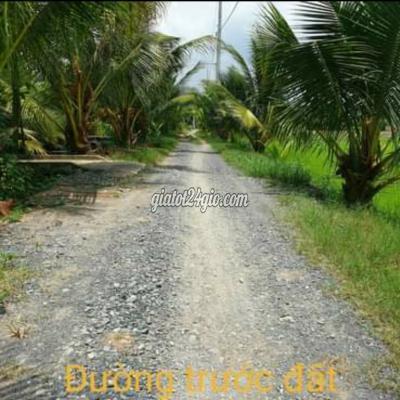 Mua Bán Đất Huyện Thủ Thừa - Long An Dt 1280m2 Nhà Cấp 4 Cách Ccn Tú Phương 500m Mua Bán Đất Huyện Thủ Thừa - Long An Dt 1280m2 Nhà Cấp 4 Cách Ccn Tú Phương 500m
