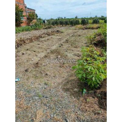 mua bán đất huyện bến lức - long an | ấp 1 nhựt chánh gần kcn, chợ, ...