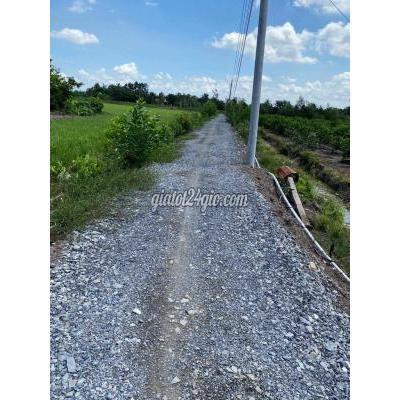 mua bán đất huyện đức huệ - long an bán lô đất 9300m2 có 300m2 thổ cư xã bình hoà bắc, đức huệ, long an