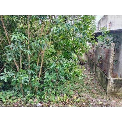 Mua Bán Đất Huyện Bến Lức - Long An Bán 131mv Thổ Cư Lương Hoà,bến Lức, Long An. Giá Siêu Rẻ : 880tr Mua Bán Đất Huyện Bến Lức - Long An Bán 131mv Thổ Cư Lương Hoà,bến Lức, Long An. Giá Siêu Rẻ : 880tr